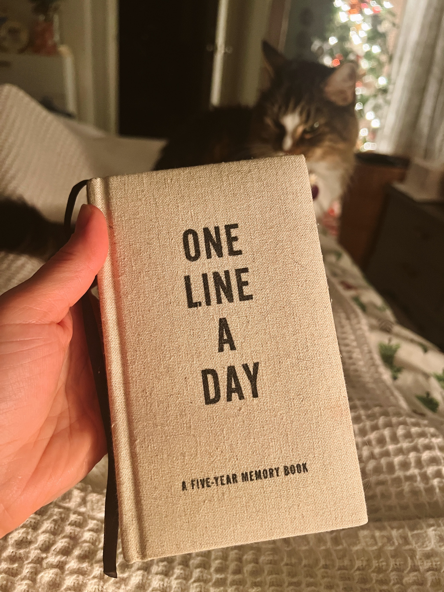 Started my 4th year in this journal 🩷 I got it for a gift in 2020 and it’s so fun (and sometimes sad) to look back each day and read what has happened over the years. Highly recommend! On prime so you’ll only have a couple of days to fill in once it comes! 

#LTKFamily #LTKGiftGuide #LTKHome