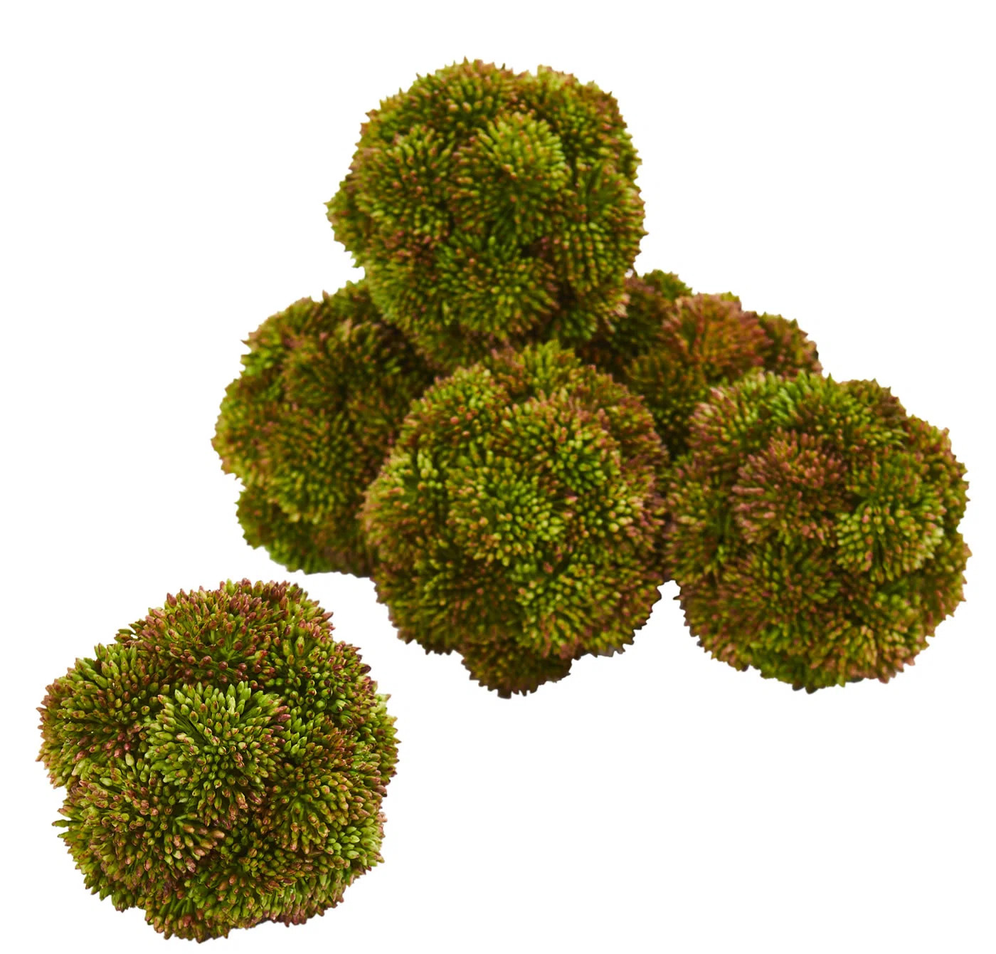 4'' Faux Succulent Plant (Set of 6) | Wayfair North America