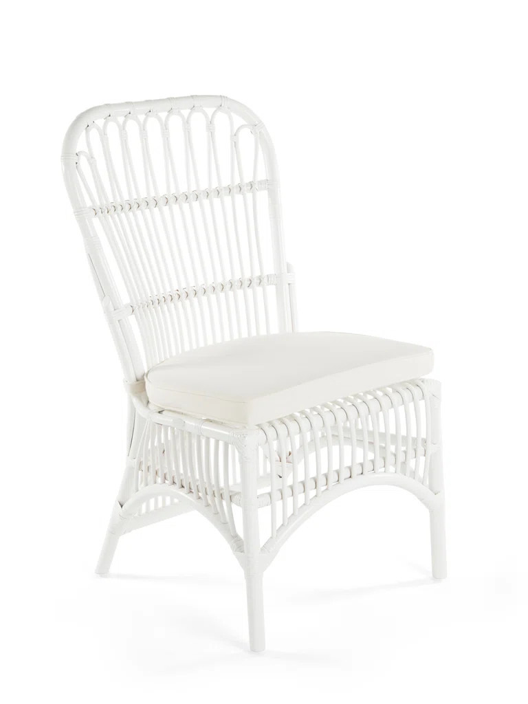 Aindriu 20'' H Side Chair | Wayfair North America