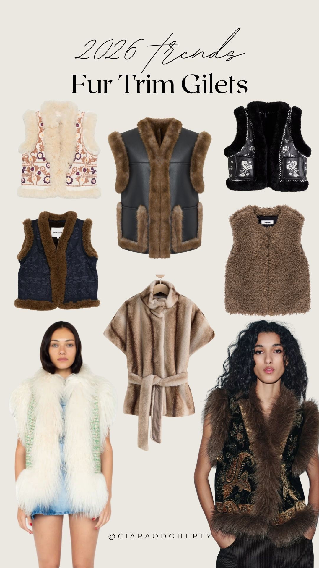 2026 Trends: Fur Trim Gilets

Fur gilets, fur waistcoats, h&m, asos, mango, Zara, arket 

#LTKireland #LTKeurope #LTKwinter