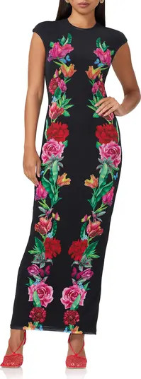 Cody Printed Cap Sleeve Mesh Maxi Dress | Nordstrom