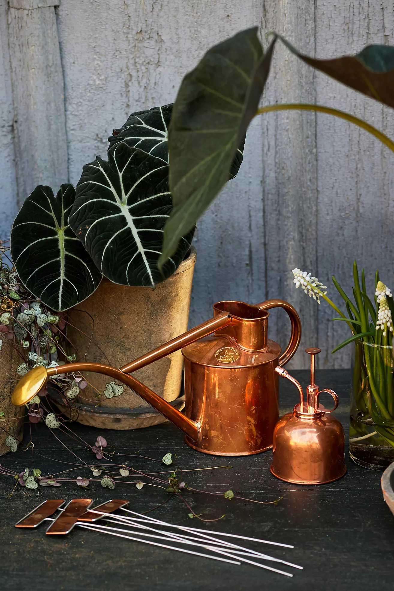 Haws Rowley Ripple Copper Watering Can + Mister Gift Set | Terrain