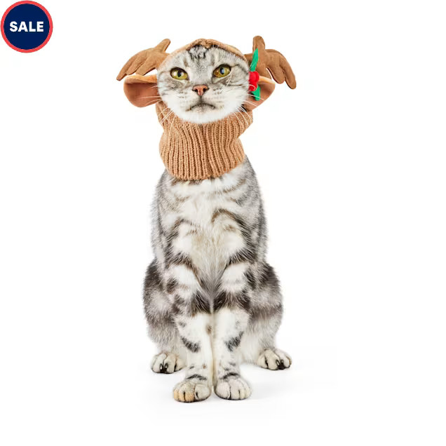 More and Merrier Cat Reindeer Hat | Petco