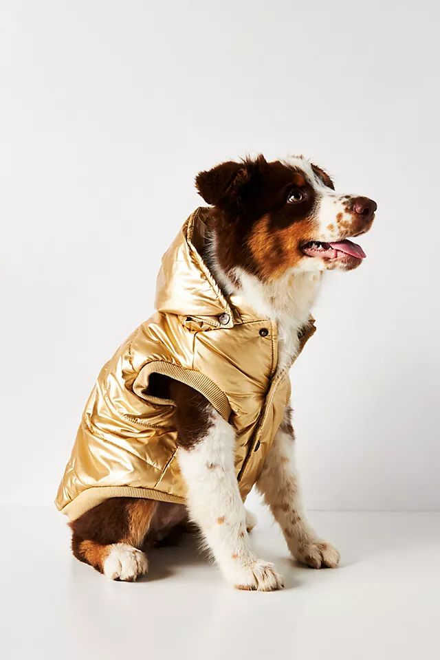 Dog Puffer Coat | Anthropologie (US)