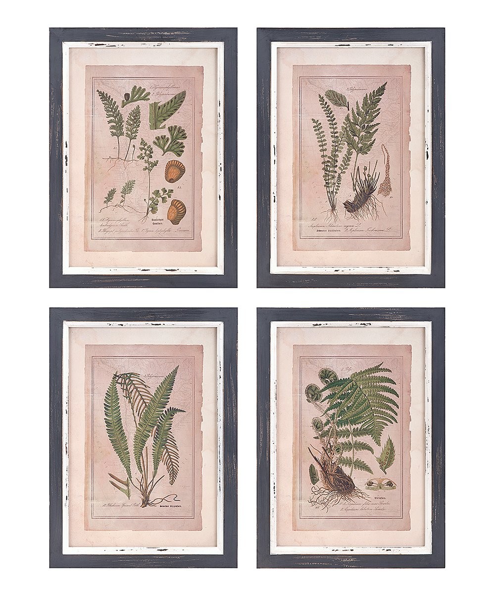 Botanical Print Wall Art - Set of Four | zulily