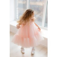 Toddler Girl Blush Pink Pageant Dress, Tulle Fall Fashion Flower Princess Tutu Occasion Formal Girls Dress | Etsy (US)