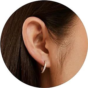 | Hypoallergenic Earrings | Titanium Date Night Small Hoop Earrings | Gold Crystal Detail | Titan... | Amazon (US)