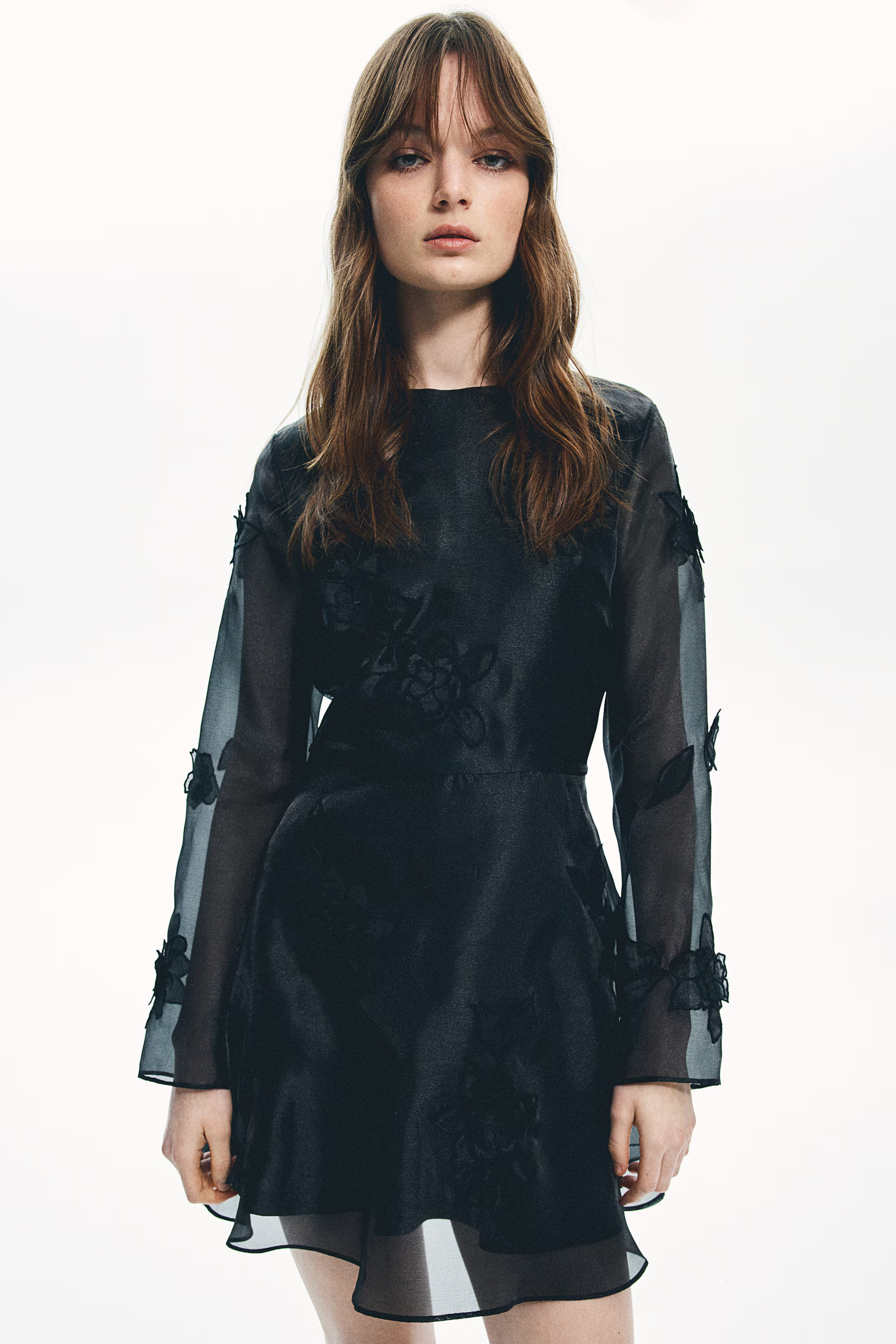 Appliquéd organza dress | H&M (UK, MY, IN, SG, PH, TW, HK)