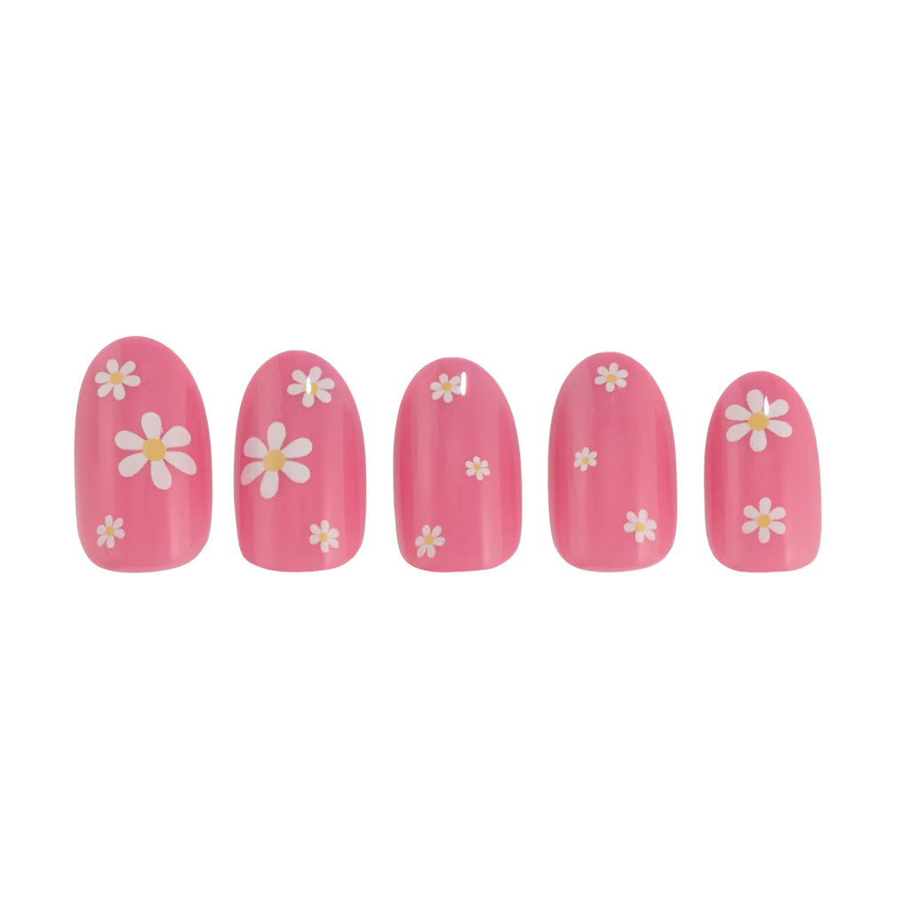 Daisy Pink | PaintLab