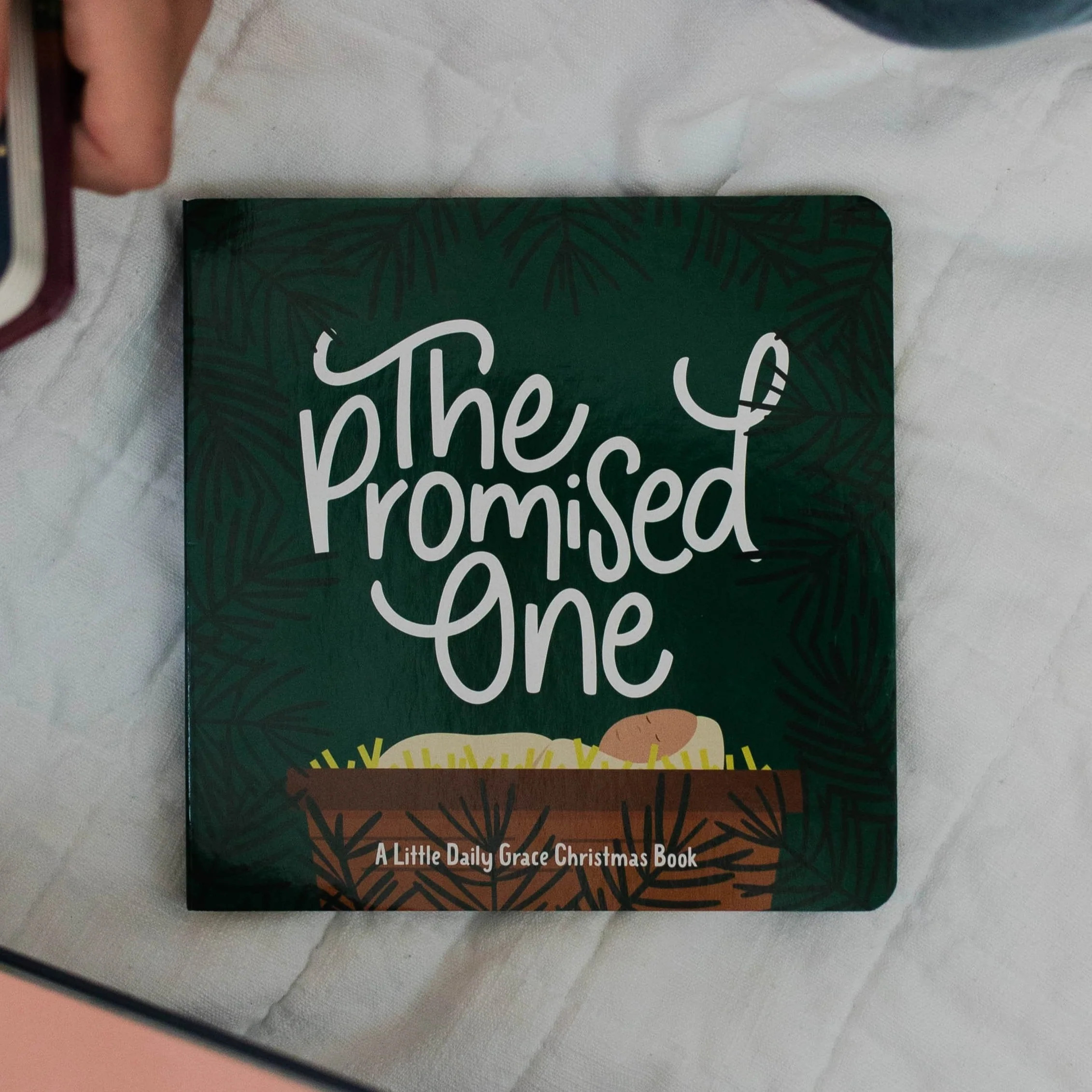 The Promised One Board Book | The Daily Grace Co.