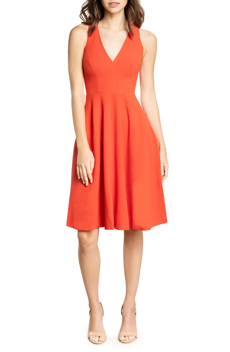 Catalina Fit & Flare Cocktail Dress | Nordstrom