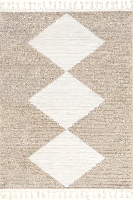 Ivory Contemporary NN12 with Tassels 4' x 6' Area Rug | Rugs USA
