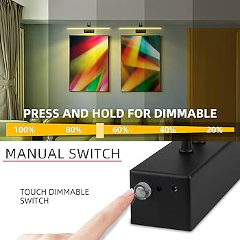 Picture Light, 16in Battery Operated Picture Lights for Paintings,Metal Remote Control Display Ar... | Amazon (US)