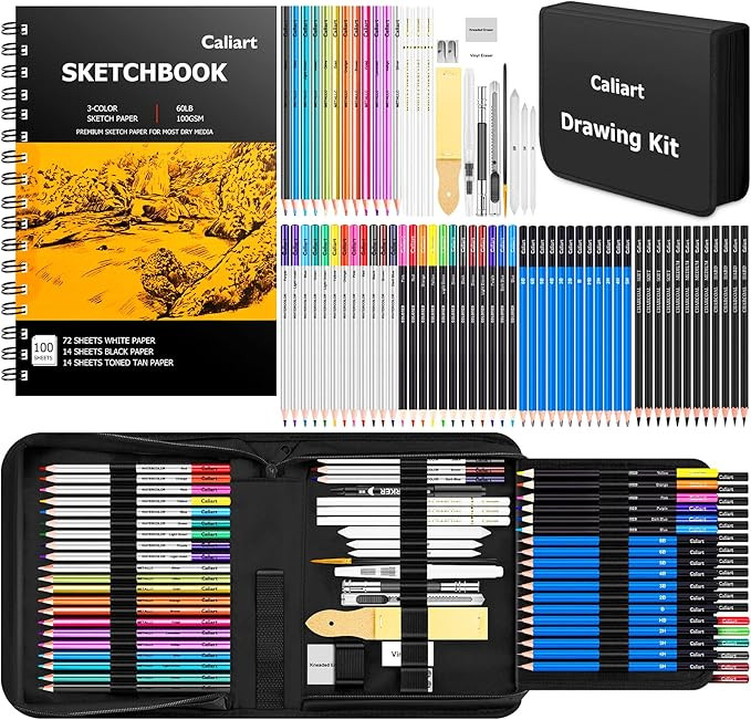 Caliart 176PCS Art Supplies Sketching Kit with 100 Sheets 3-Color Sketch Book, Graphite Colored C... | Amazon (US)