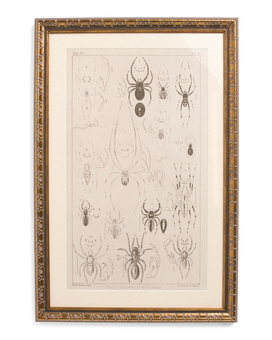 16x24 Insects Hanging Wall Art | Halloween | Marshalls | Marshalls
