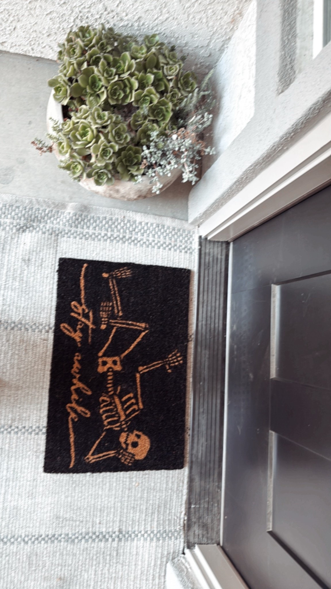 Skelly 🎃

#LTKSaleAlert #LTKU #LTKSeasonal