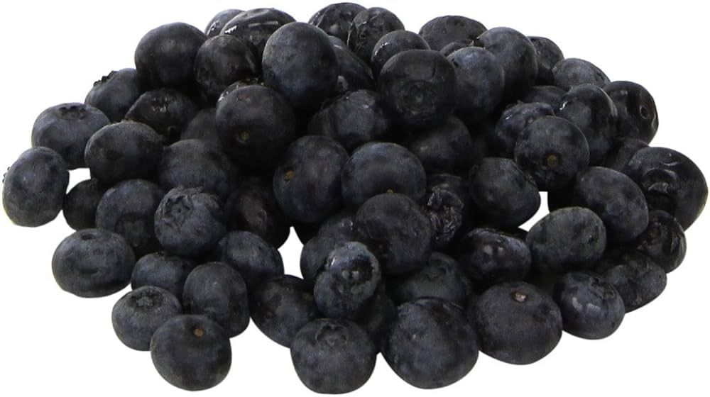 Jumbo Blueberries, 9.8 OZ | Amazon (US)