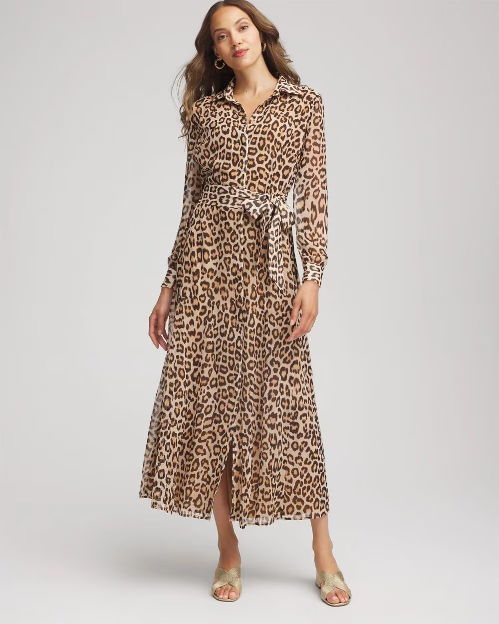 Cheetah-Print Godet Dress | Chico's