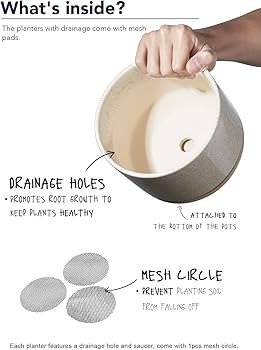 Visit the LE TAUCI Store | Amazon (US)