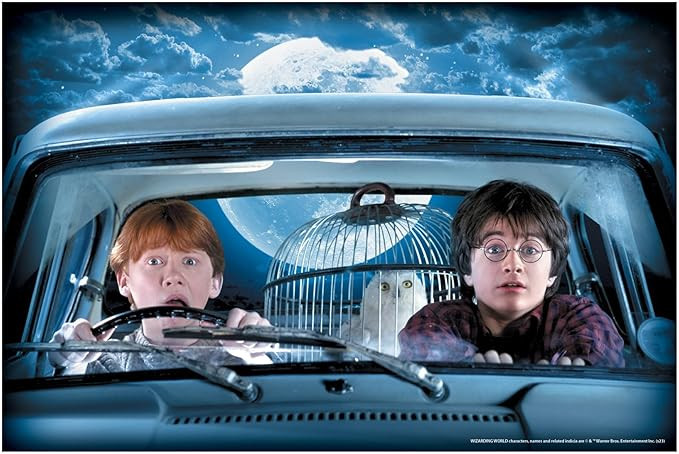 Rubie's Potter Printed Plastic Decorative Window Cover, 24" x 36", Harry and Ron | Amazon (US)