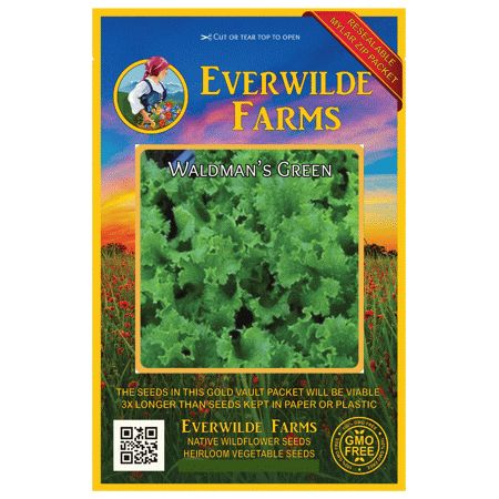 Everwilde Farms - 1000 Waldmans Green Leaf Lettuce Seeds - Gold Vault Jumbo Bulk Seed Packet | Walmart (US)