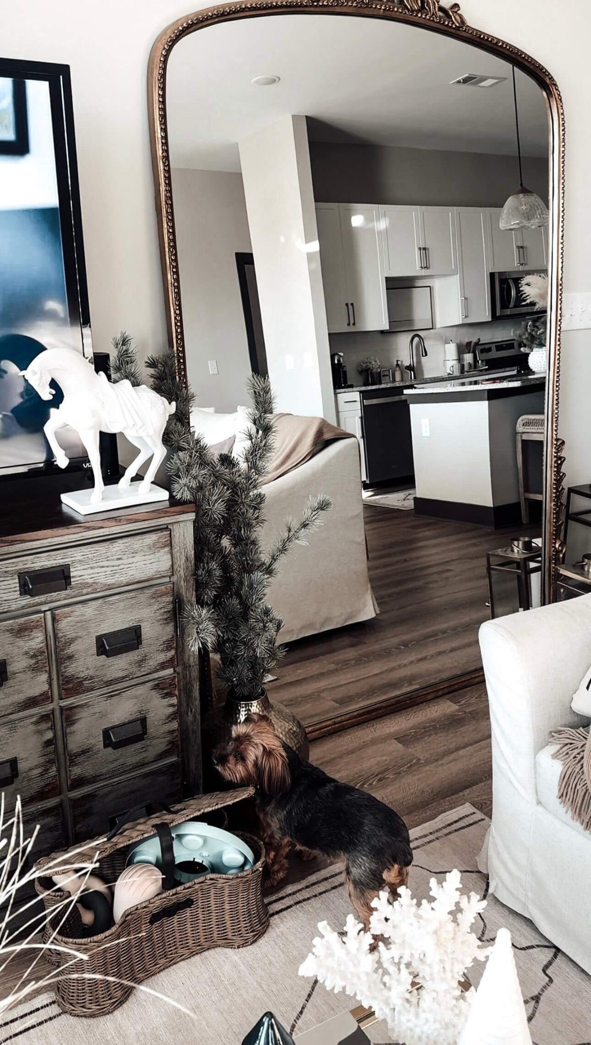 How I styled the Gleaming Primrose Mirror from Anthro.

Scroll to shop

#LTKPets


#LTKHome #LTKBeauty