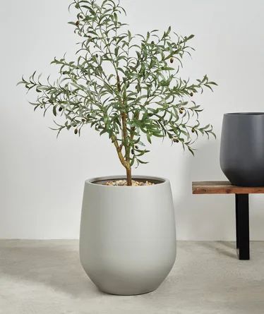 Ebern Designs Fion Pot Planter | Wayfair | Wayfair North America