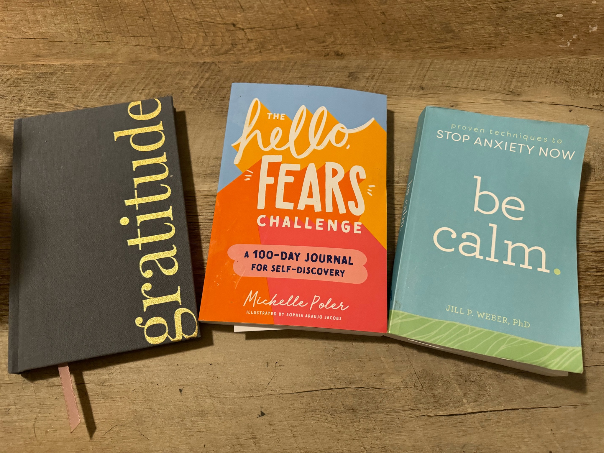 Morning personal development books 

#LTKMostLoved #LTKfindsunder50 #LTKfitness