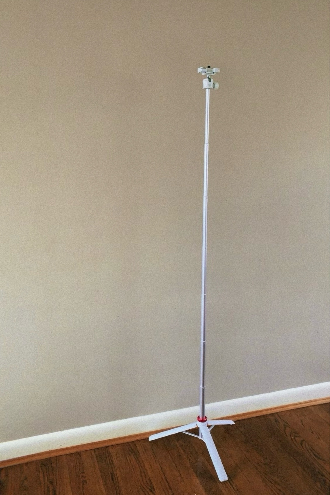 my tripod 

#LTKtravel #LTKitbag #LTKVideo