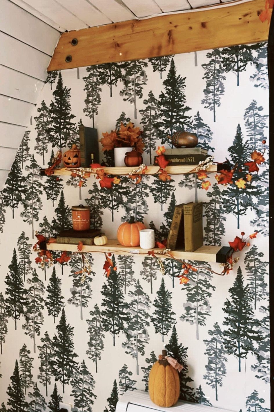 New wallpaper!

halloween, home, home decor, decorations, fall, fall home decor, fall vibes, interiors, Etsy, sale alert, amazon finds, target finds, amazon home, furniture, living room, throw pillow, halloween decor, spooky decor, outdoor decor, fall inspiration, autumn, autumn decor, pumpkin, ghost, fall decor 

#LTKhome #LTKSeasonal #LTKHalloween