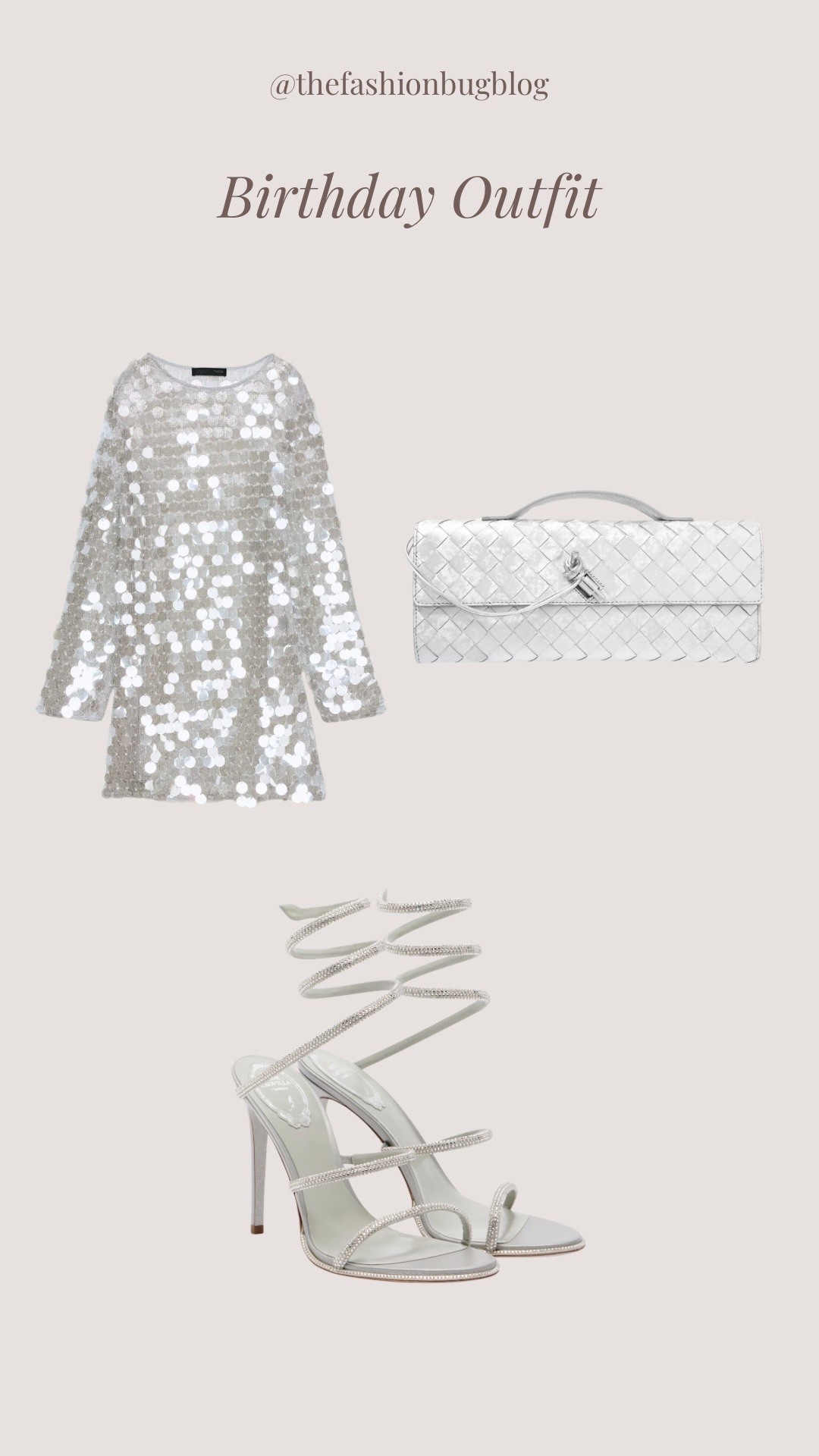 Birthday outfit sparkly Zara dress bottega bag Rene shoes