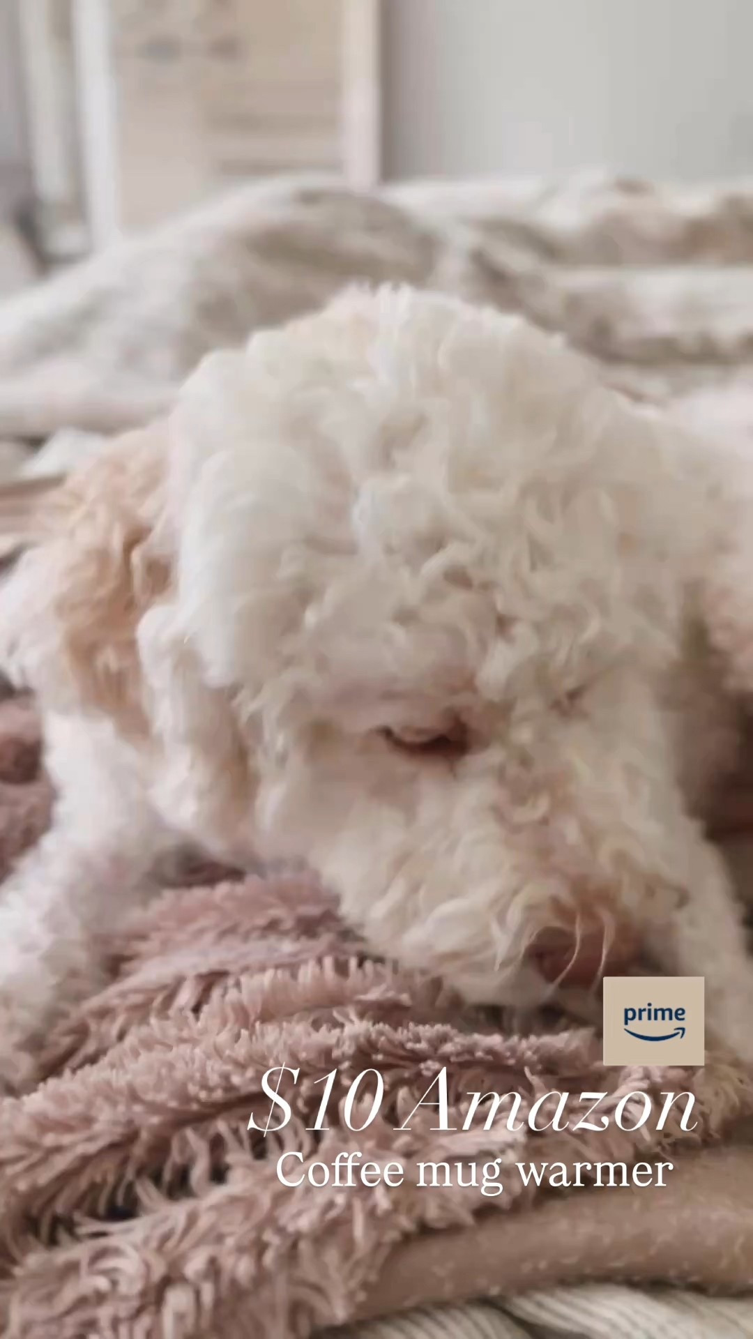 $10 affordable Amazon coffee mug warmer- it’s so nice waking up to have hot coffee beside me ☕️

#LTKGiftGuide #LTKHome