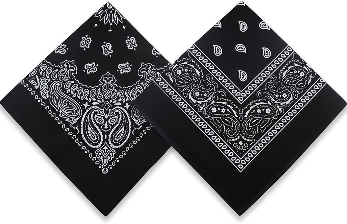 2 Pack Types of Paisley Pattern Bandanas, 22x22 Inches Cotton Bandanas Handkerchief Face Mask for... | Amazon (US)