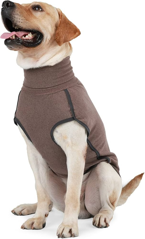 Dog Sweater Pullover Cold Weather Vest for Dogs Dog Sweatshirt & Jacket for Indoor and Outdoor Us... | Amazon (US)
