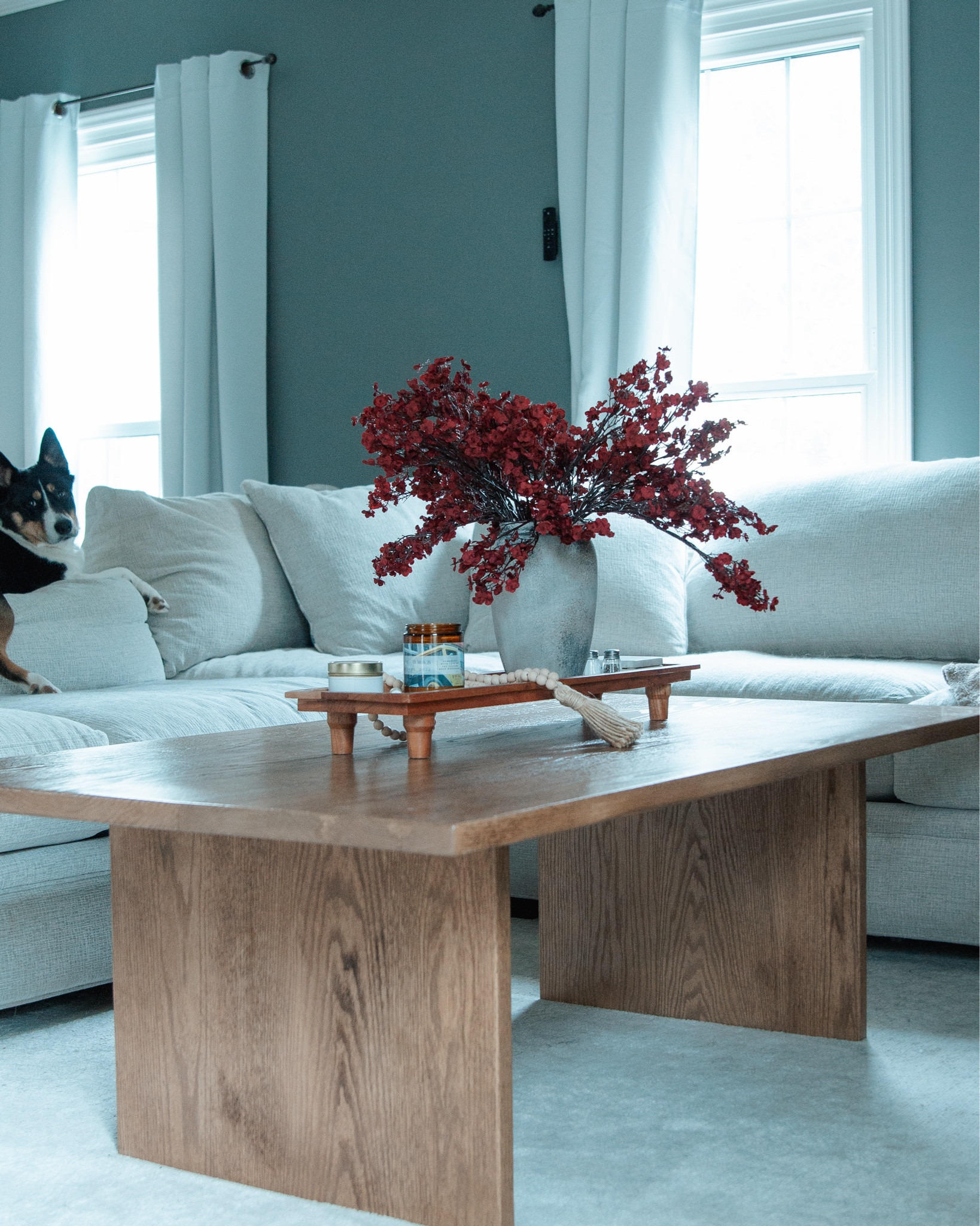 Such a cozy space 😍 we love our couch

#LTKFindsUnder100 #LTKHome #LTKGiftGuide