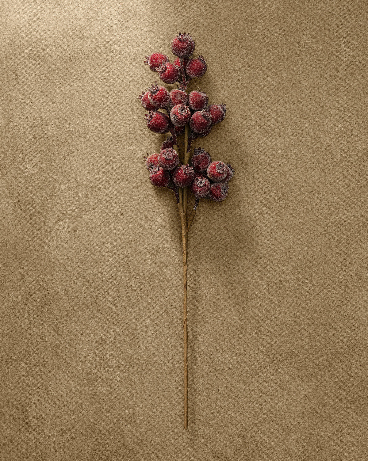 21" Iced Burgundy Berry Pod Spray | McGee & Co. (US)