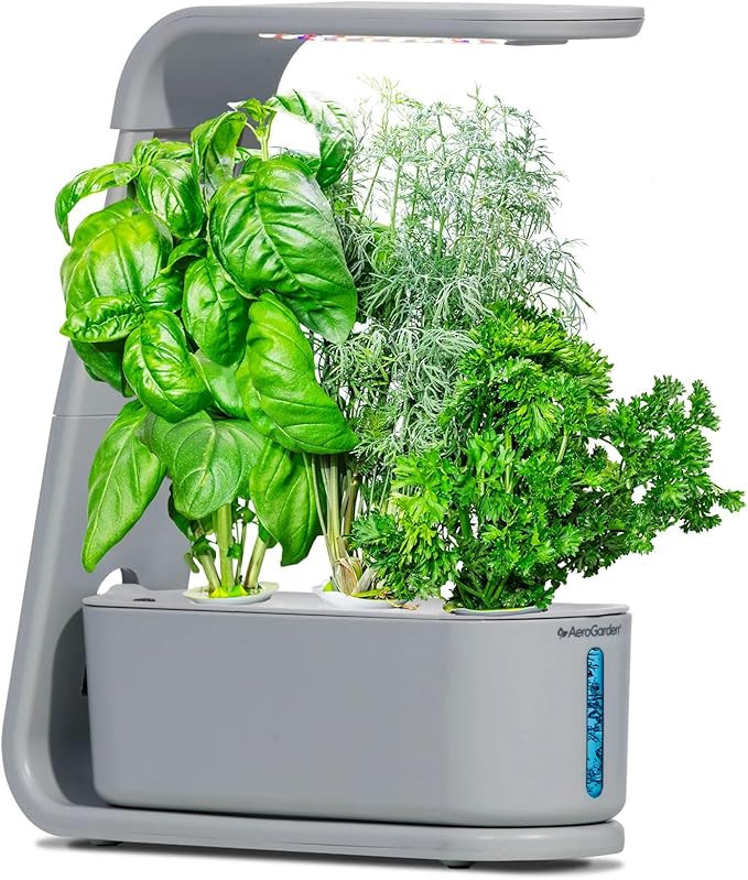 AeroGarden Sprout with Gourmet Herb Seed Pod Kit - Indoor Garden with LED Grow Light, Cool Gray | Amazon (US)