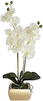 Dahlia Studios Potted Silk Faux Artificial Flowers Realistic White Phalaenopsis Orchid Greenery in G | Amazon (US)