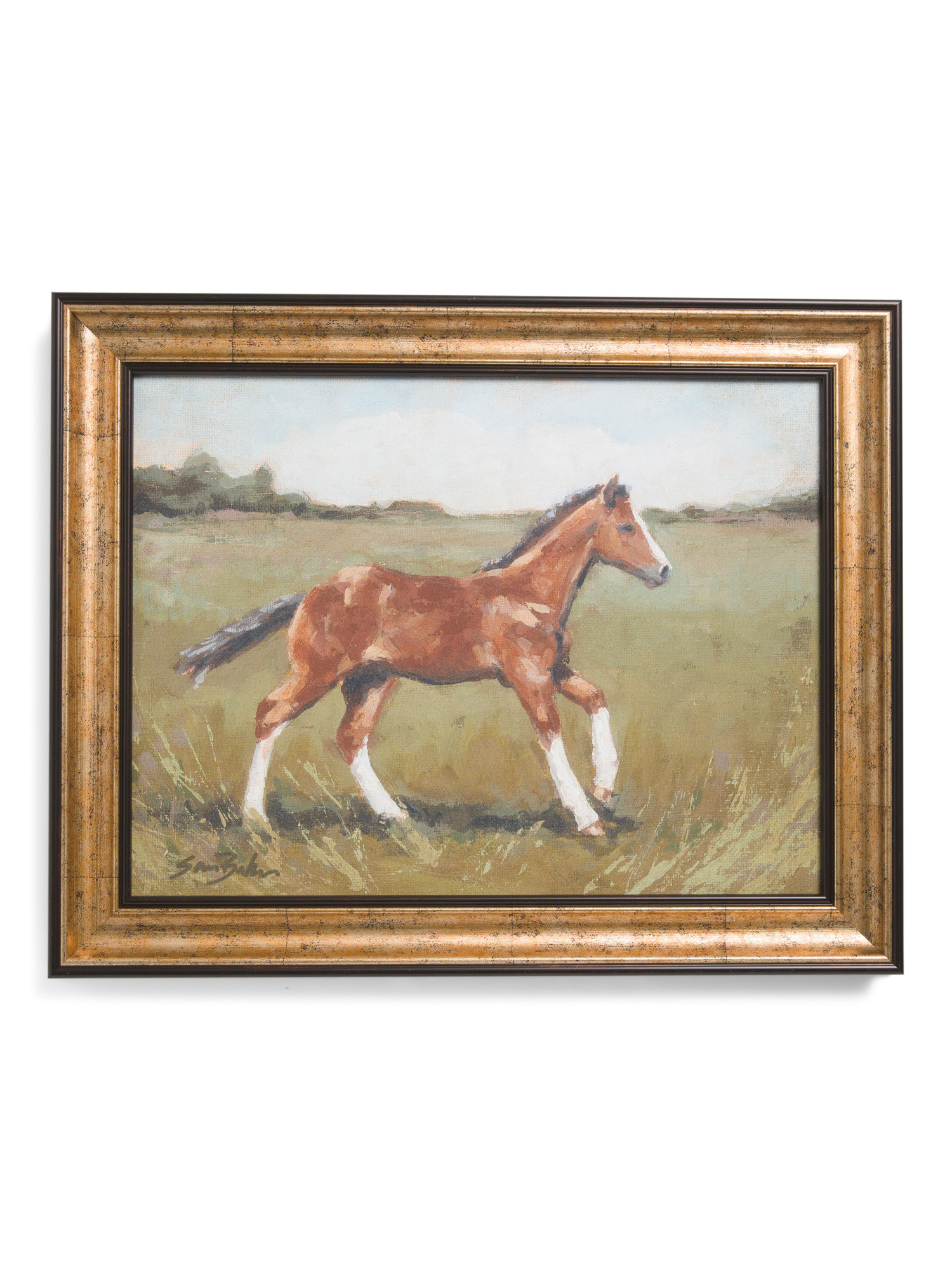 16x20 Scenic Filly Wall Art | Home | Marshalls | Marshalls