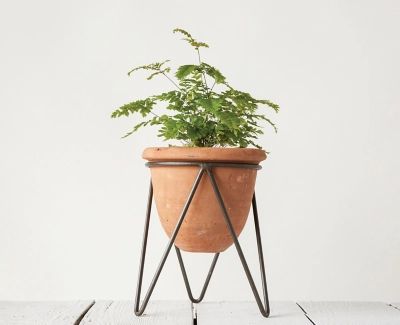 Terracotta Pot With Metal Stand, Orange | Ashley Homestore
