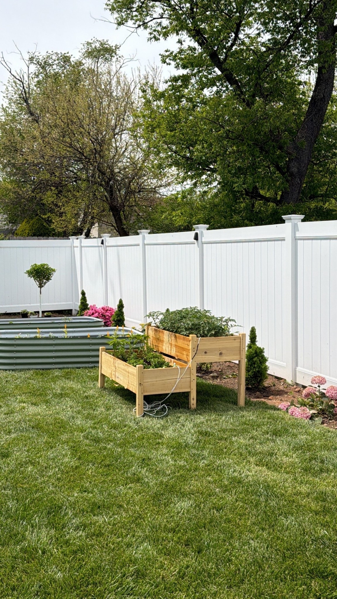 planters in our yard 🌱

#LTKHome #LTKSeasonal #LTKdayinmylife