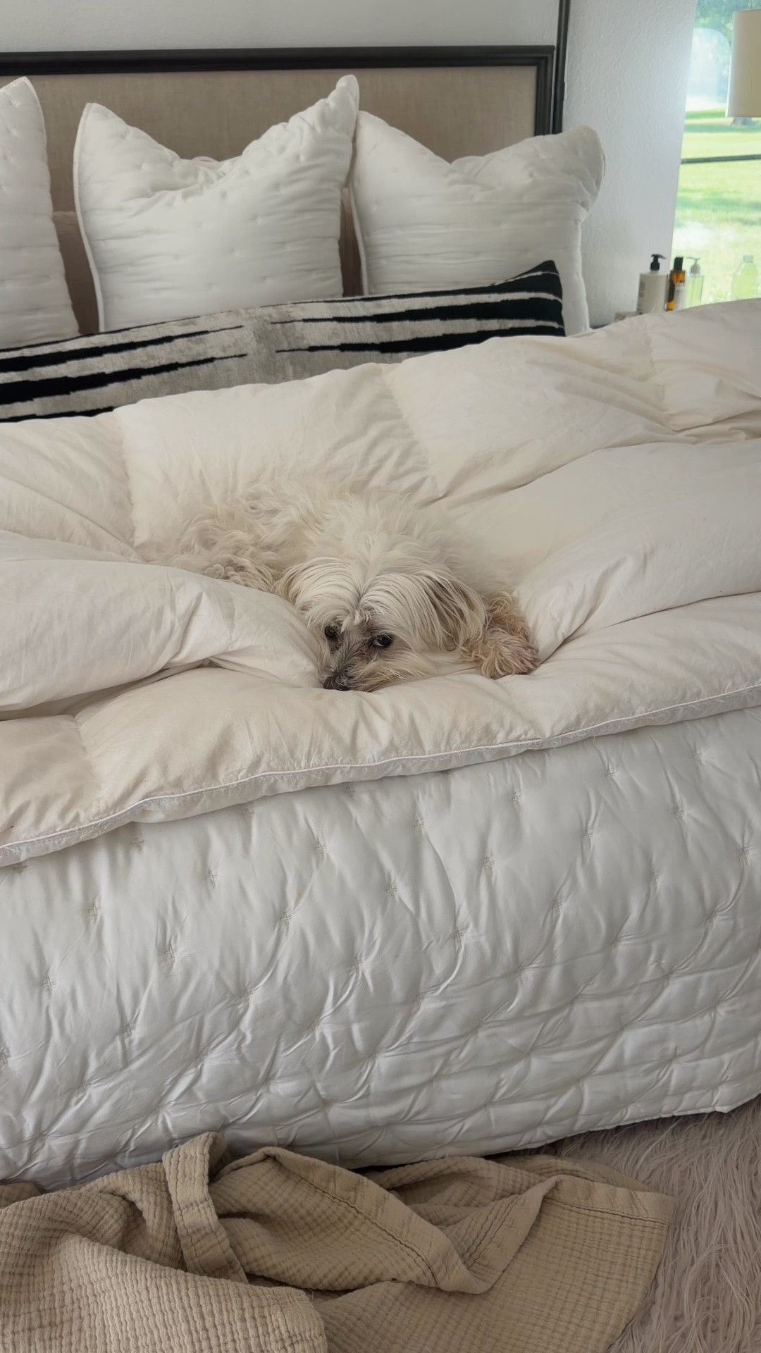 Love my all season down comforter and it has big savings during the Nordstrom sale

#LTKOver40 #LTKHome