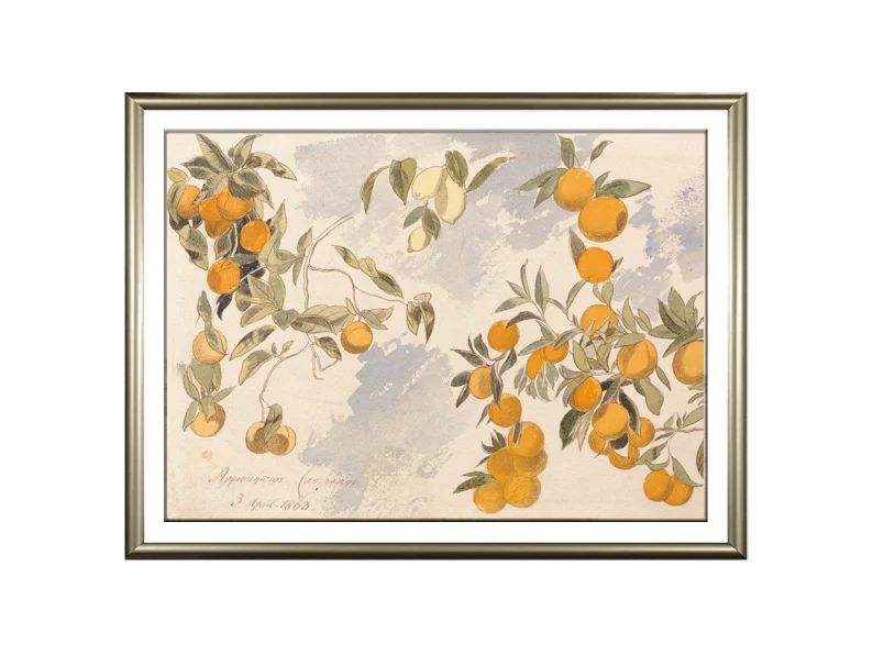 Vintage watercolor orange painting, Antique botanical print, Downloadable art | Etsy (US)