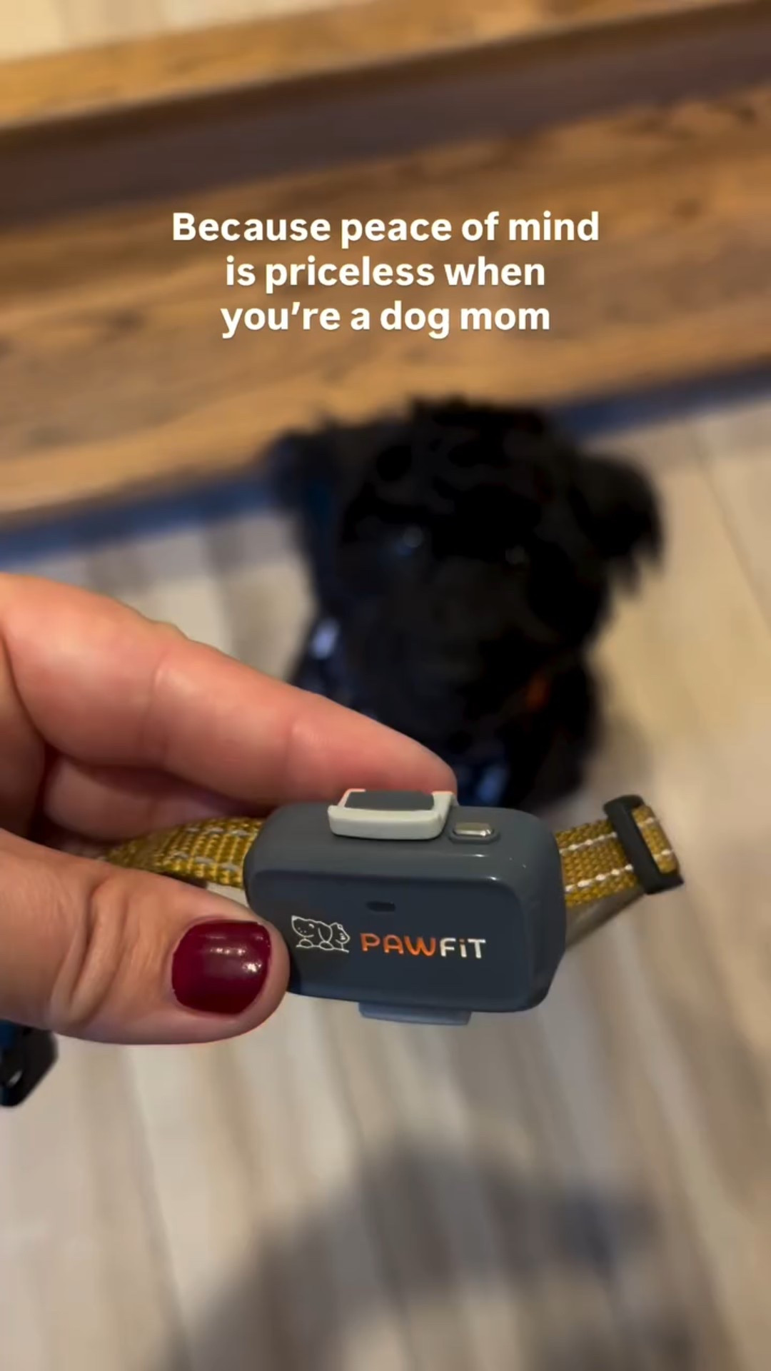 As a mom to both a toddler and a puppy, my heart can only handle so much chasing! 🐾 Thanks to @pawfit_tracker, I can finally relax knowing Oreo’s safe, active, and exactly where he’s supposed to be.

Lightweight, waterproof, and seriously smart — it tracks his steps, calories, and location right from my phone. Total game changer for dog moms everywhere. 🐕‍🦺

#pawfit #pawfitpals #dogsoﬁnstagram #doglife #doglover #catsofinstagram #catlife #catlover #mrsgreaux #reels