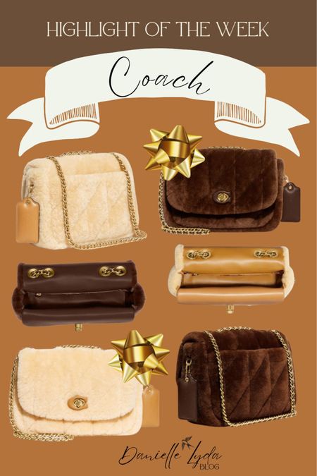 Fall Style, Winter Style, gift ideas, gift ideas for her, purses, chain purse, fuzzy purse, faux fur, faux fur purse, coach, coach style, coach purse, Christmas gifts, Christmas gifts for her, gift guide 

#LTKGiftGuide #LTKFind #LTKHoliday