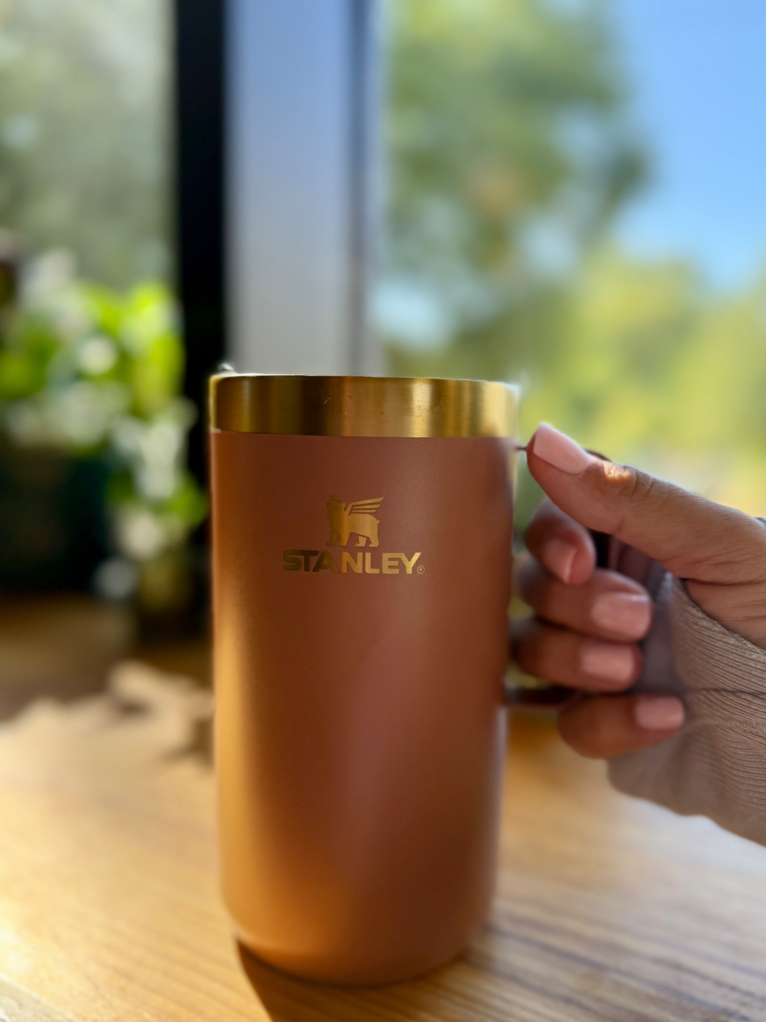 This mug is such a winter staple for me ☕️❄️

I actually took this photo back in early September when I was still very pregnant and it was somehow still hot out — but winter is where this Stay-Hot Camp Mug really shines. Cold mornings, cozy afternoons, evenings at home with a big cup of coffee, tea, or hot cocoa… this is the one I reach for.

The 24oz size keeps drinks hot for hours (fewer refills 🙌) and the handle is everything when it’s freezing. Spring sports mornings will be great too, but winter is absolutely its moment.

Deal alert: it’s marked down to $18 (normally $30) and code TFG20 takes an extra 20% off, making it about $14 🤯

@stanley_brand #stanley1913partner

#LTKSaleAlert #LTKHoliday #LTKGiftGuide