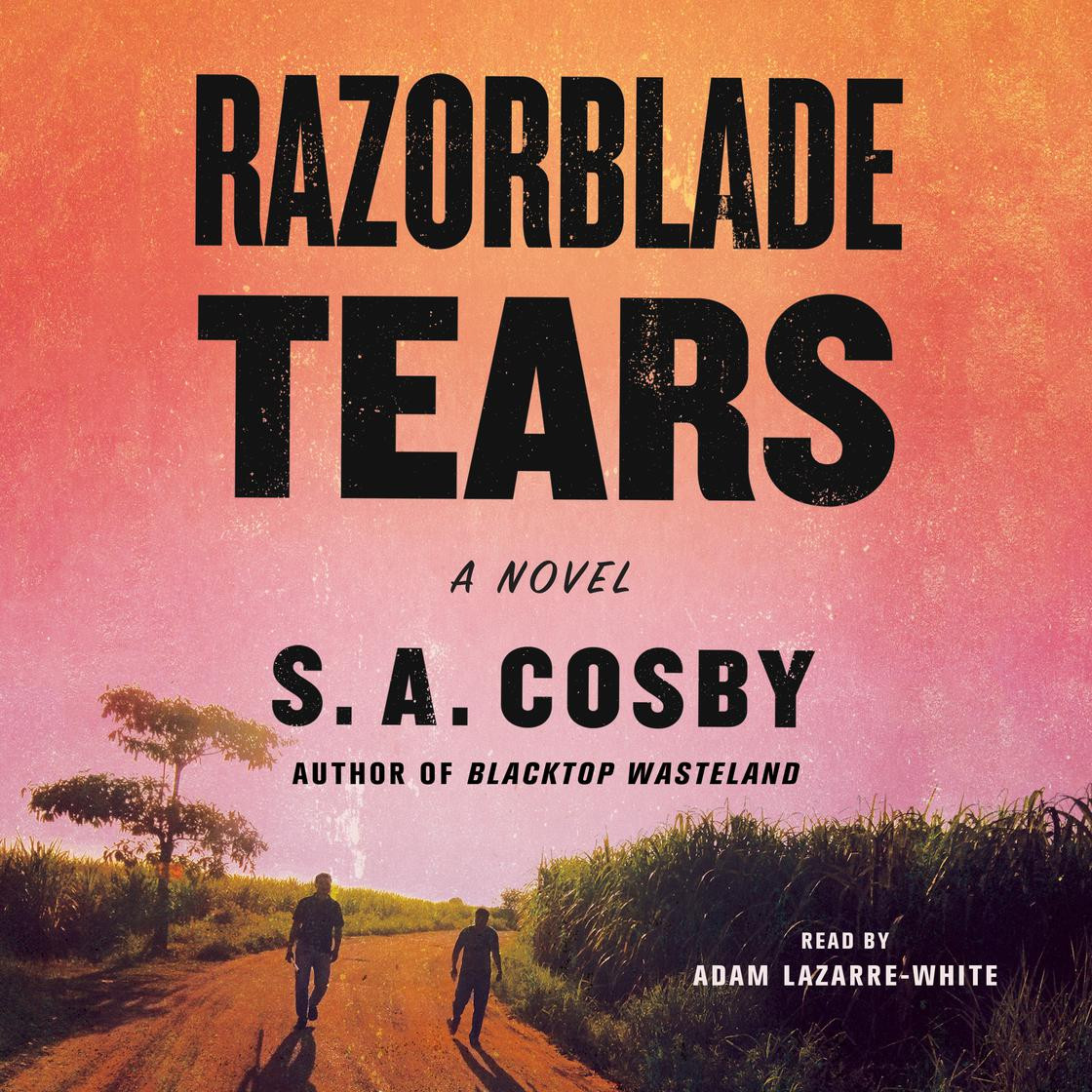Razorblade Tears | Libro.fm (US)