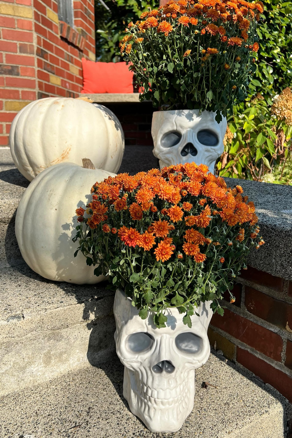 Skull candy bowl turned plant holder! These were my favorite outdoor Halloween decoration I did last year so I was so excited to see these are back so I could add a few more skulls to our porch this year!
🎃
#HalloweenDecor #HalloweenDIY #EasyDIY #HalloweenDecorations #SkullPlantet #FrontPorchDecor #TargetDoesItAgain #TargetAddict #MumsFlowers #FallMums #PorchGoals