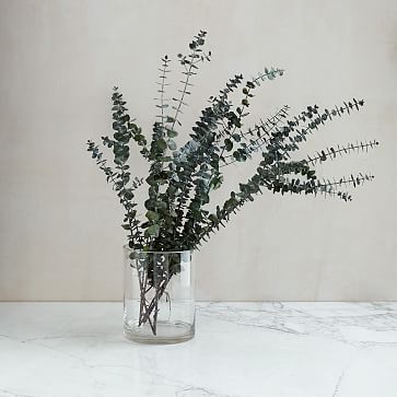 Eucalyptus Bundle - Baby | West Elm (US)