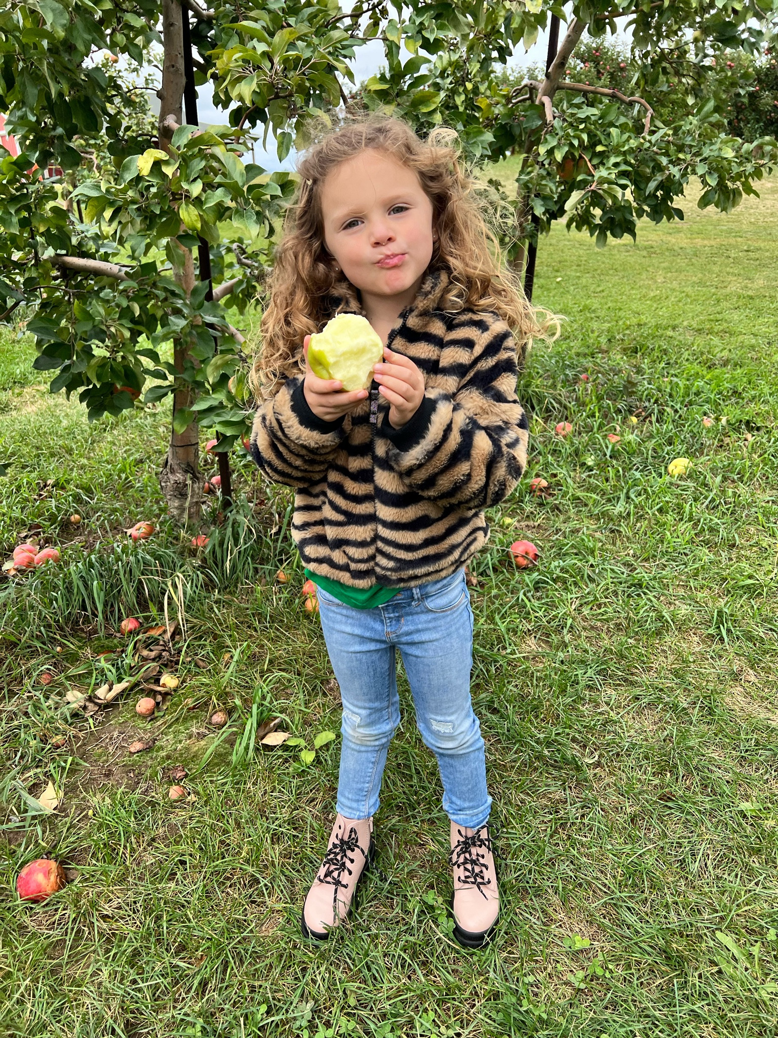 Apple picking with this cutie.  I am in LOVE with these girls boots from Walmart.   For just under $25, they are a must buy!  

#LTKkids #LTKsalealert #LTKfamily